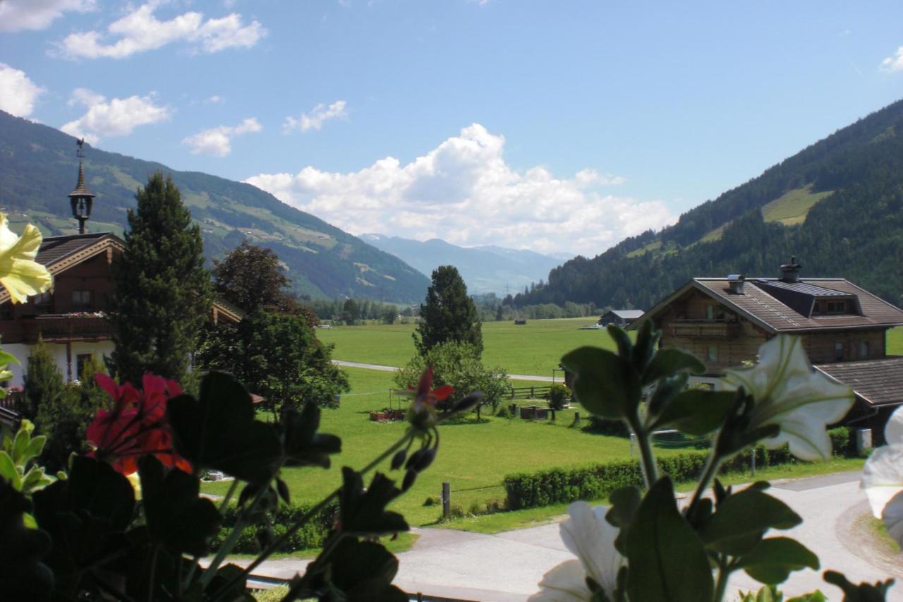 Naturpension Muehlhof Нойкирхен-ам-Гросфенедигер Экстерьер фото
