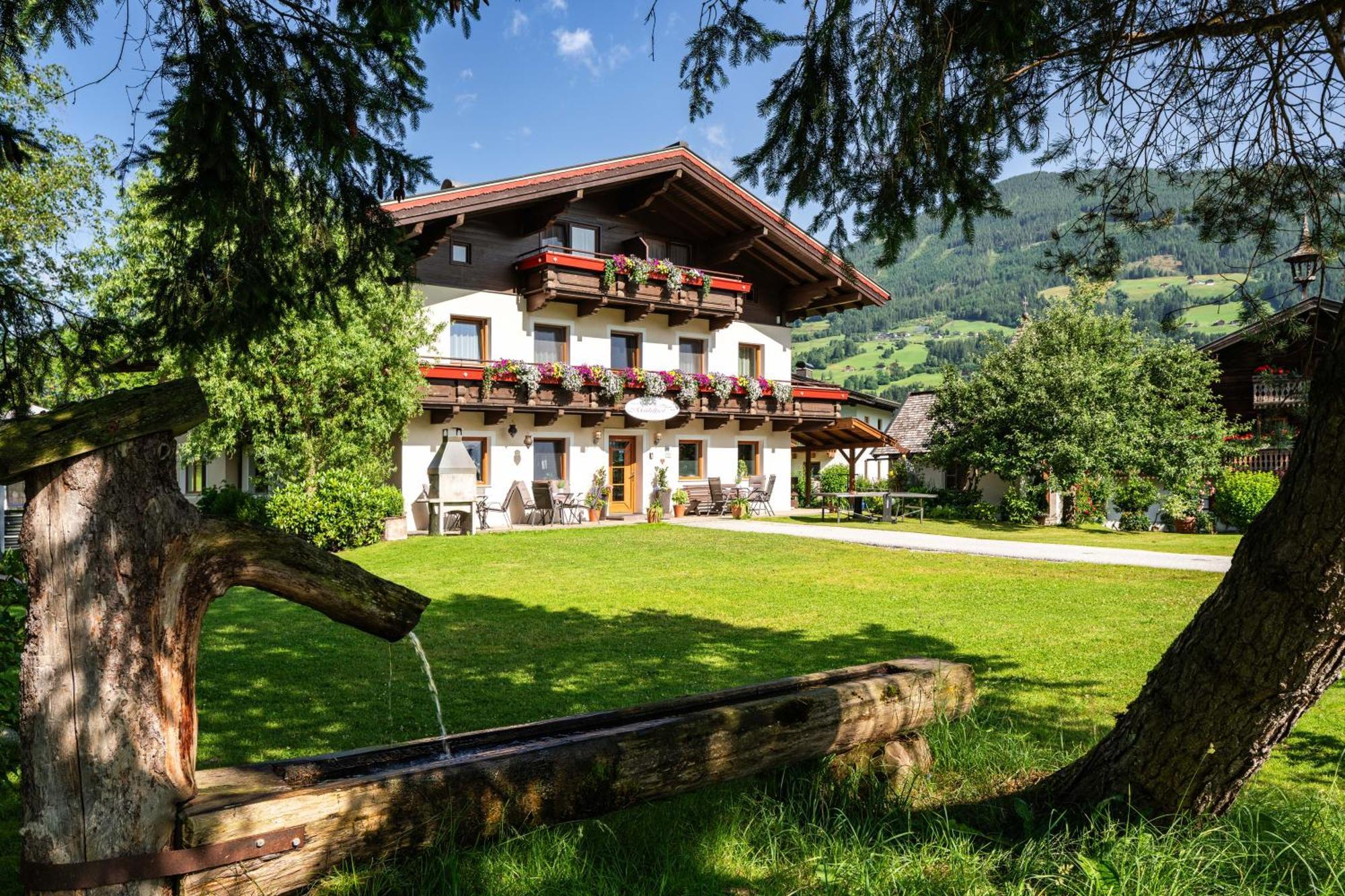 Naturpension Muehlhof Нойкирхен-ам-Гросфенедигер Экстерьер фото