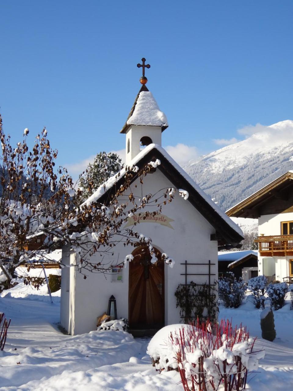 Naturpension Muehlhof Нойкирхен-ам-Гросфенедигер Экстерьер фото
